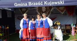zdjęcie nr 95
