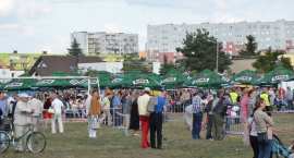 zdjęcie nr 12