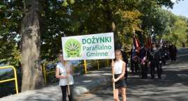 zdjęcie nr 52