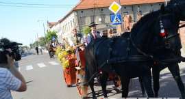 zdjęcie nr 14