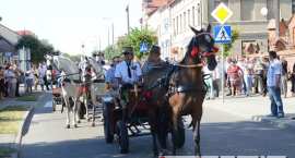 zdjęcie nr 15