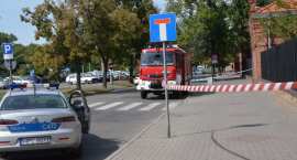 Fotka nr 1 z 12
