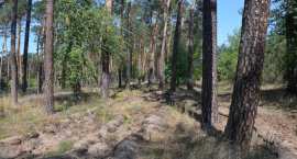 zdjęcie nr 7