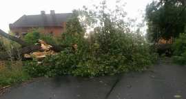 zdjęcie nr 7