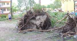 zdjęcie nr 47