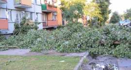 zdjęcie nr 35