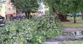 zdjęcie nr 36