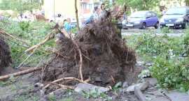 zdjęcie nr 46