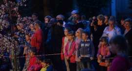 zdjęcie nr 16