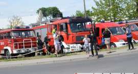 zdjęcie nr 152