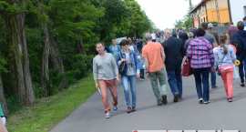 zdjęcie nr 33