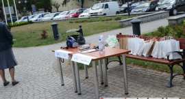 zdjęcie nr 13