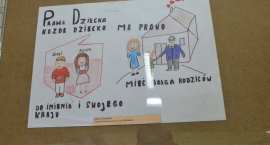 zdjęcie nr 15