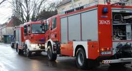 Fotka nr 1 z 23