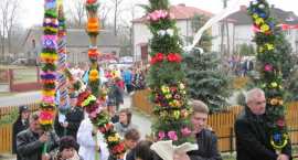 zdjęcie nr 41