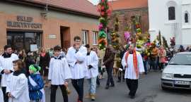 zdjęcie nr 20