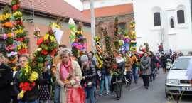 zdjęcie nr 24