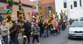 zdjęcie nr 22