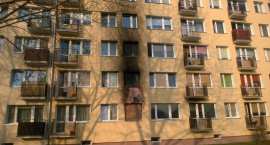zdjęcie nr 9