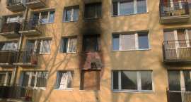 zdjęcie nr 13