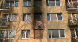 zdjęcie nr 7