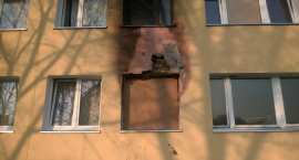 zdjęcie nr 8