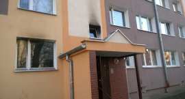 zdjęcie nr 10