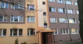 zdjęcie nr 12