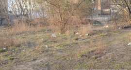 zdjęcie nr 16