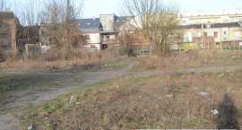 zdjęcie nr 25