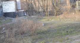 zdjęcie nr 26