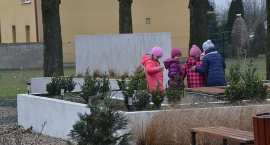 zdjęcie nr 14