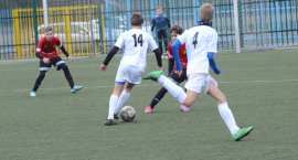 zdjęcie nr 11