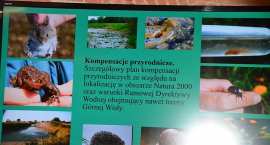 zdjęcie nr 22