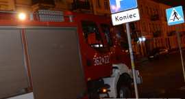 zdjęcie nr 7