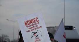 zdjęcie nr 14