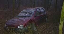 Fotka nr 2 z 4