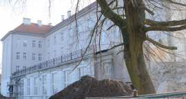 zdjęcie nr 17