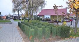 Fotka nr 2 z 18