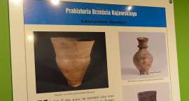 zdjęcie nr 85