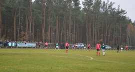 zdjęcie nr 14