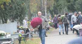 zdjęcie nr 13