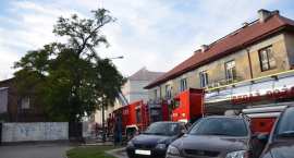 zdjęcie nr 43