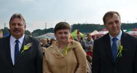 zdjęcie nr 35