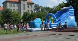 zdjęcie nr 42