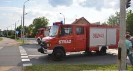 Fotka nr 1 z 15