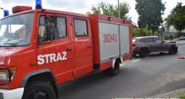 Fotka nr 5 z 15