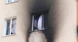 zdjęcie nr 14