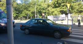 Fotka nr 2 z 4