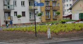 zdjęcie nr 7